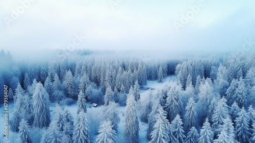 Natural winter landscape aerial drone top view.. Winter season weather © alexkich