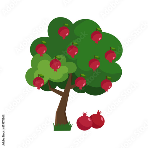 Vector illustration of a pomegranate tree in flat style on a white background. Pomegranate.