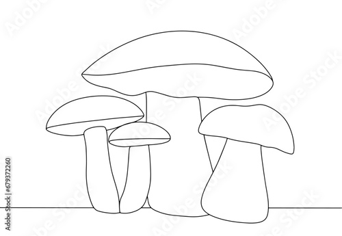 Brown cap boletus. One line