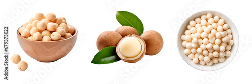 Collage of macadamia nuts plant, in bowl, top view on isolated transparent background