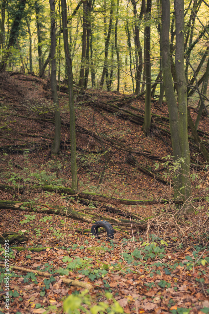 old used tire in the woods, pollution, littering, killing the forest, planet, old used tire in the woods, pollution, littering, killing the forest, planet,