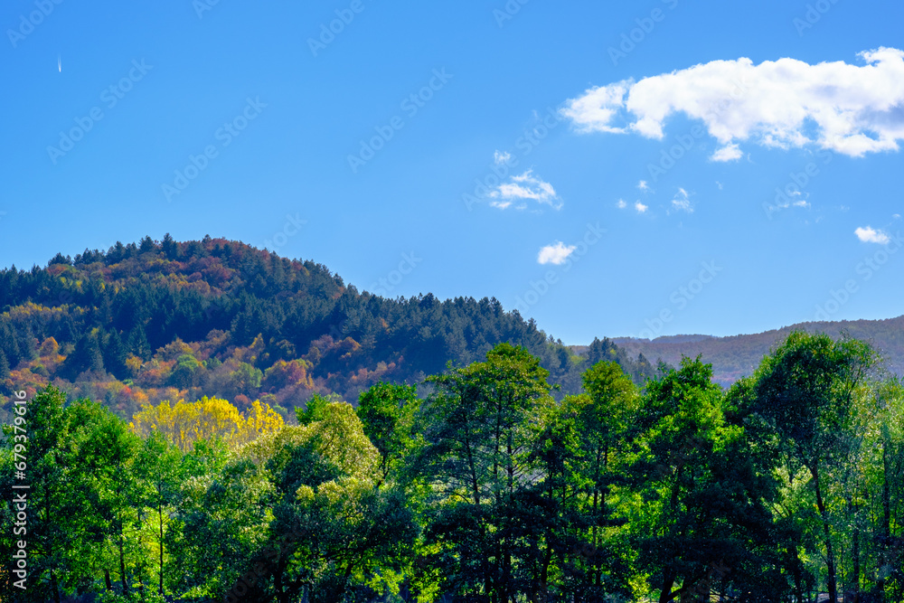 Sunny day in Autumn, trees with yellow orange, red leaves