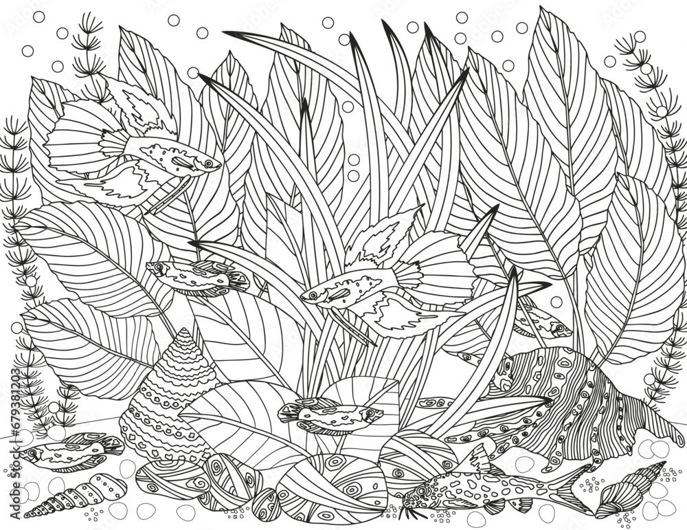Obraz premium Coloring page for children and adults. Fabulous underwater world.