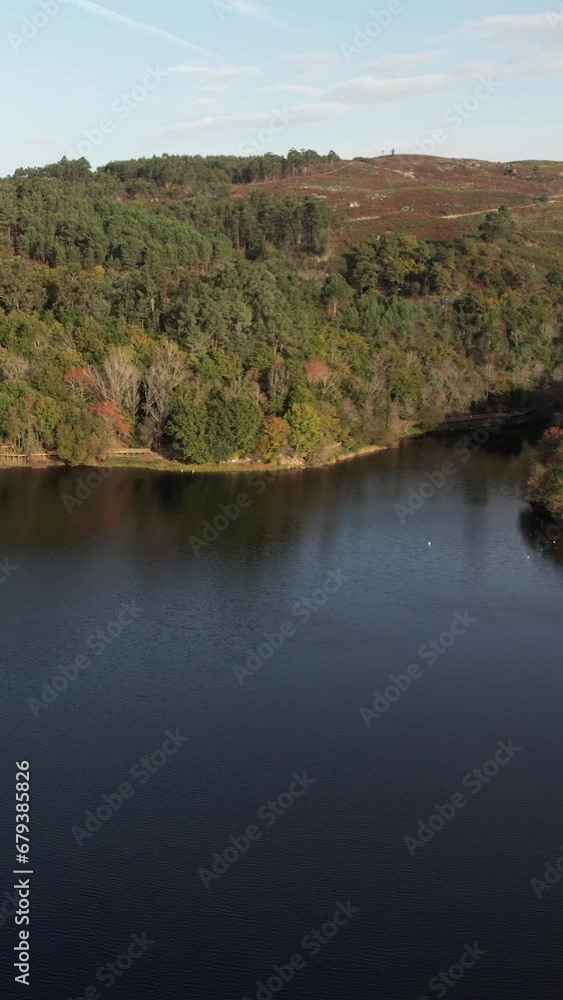 Vertical Video of Flying Over Green Forest and Lake Vertical Video of Flying Over Green Forest and Lake
