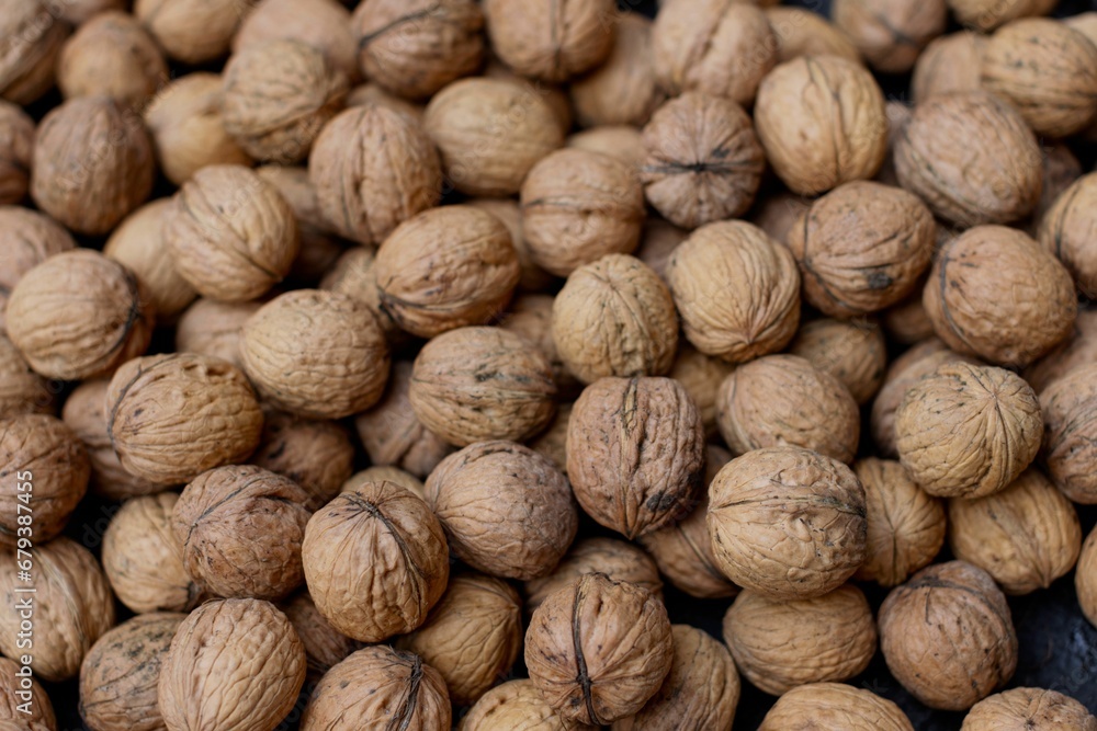 nuts are sitting on the counter ready to be roasted and processed nuts are sitting on the counter ready to be roasted and processed