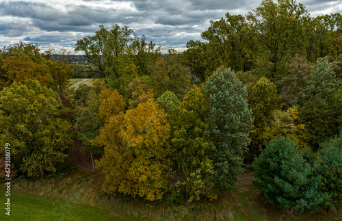 An Aerial View of a Group pf Trees Starting to Turn Color as Autumn a Approaches