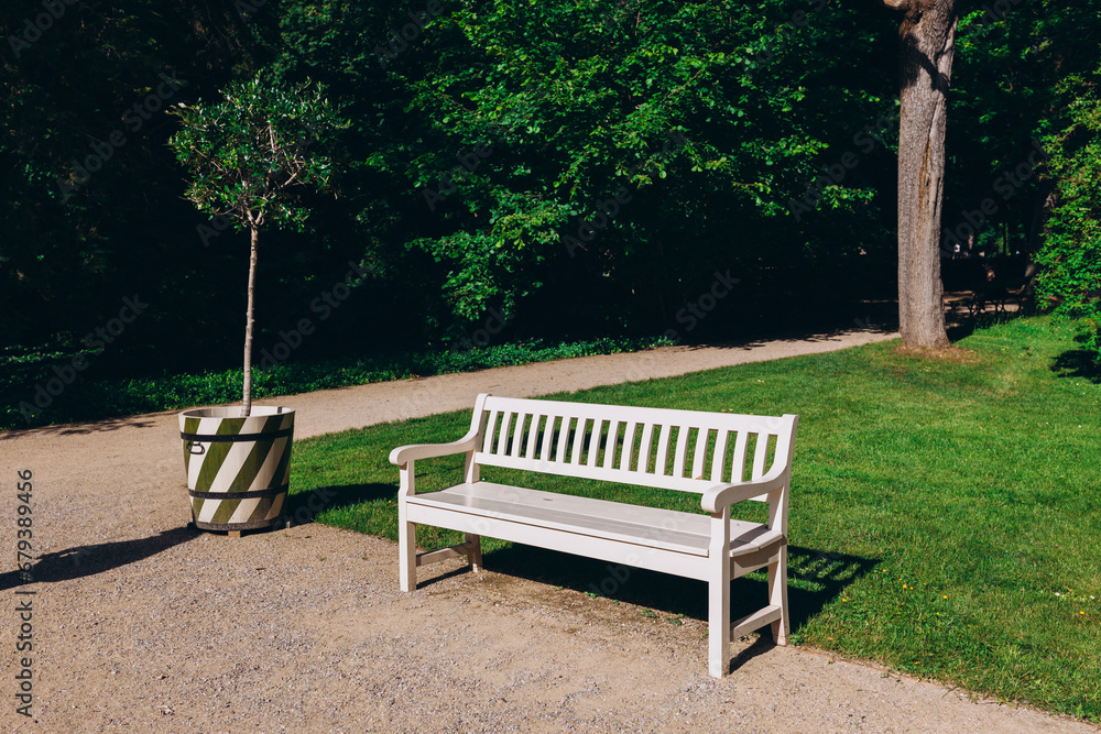 Wooden empty white bench in the city spring park, lush green parkland.