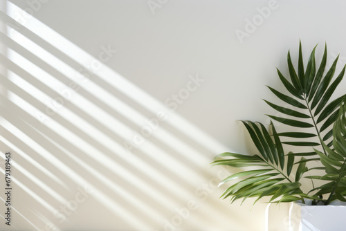 An abstract background featuring blurred shadow patterns from plant leaves cast upon a white wall, offering a minimalist setting for product presentations. Generative Ai.