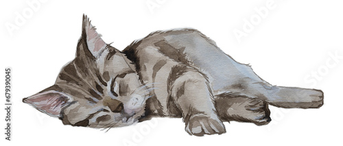 Watercolor sleeping kitten  painting. Kittens and cats food concept. Cat's face artistic illustration. Hand painted funny cat. photo