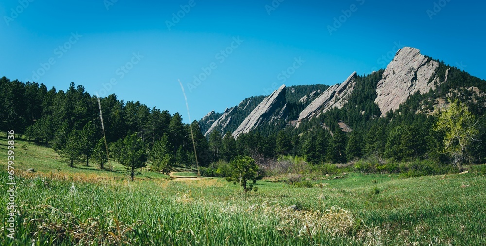 Scenic view of a green field against a mountain range