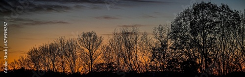 Scenic landscape of a beautiful sunset against the silhouettes of trees.