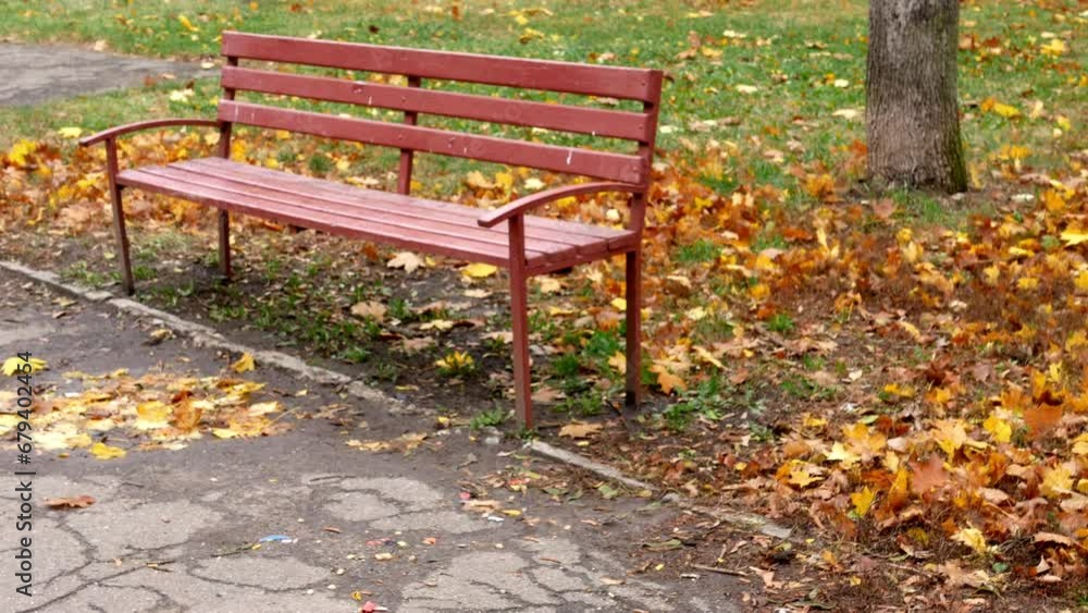 Deserted bench in an autumn park during leaf fall. Fallen maple leaves are flying around. Deserted bench in an autumn park during leaf fall. Fallen maple leaves are flying around.