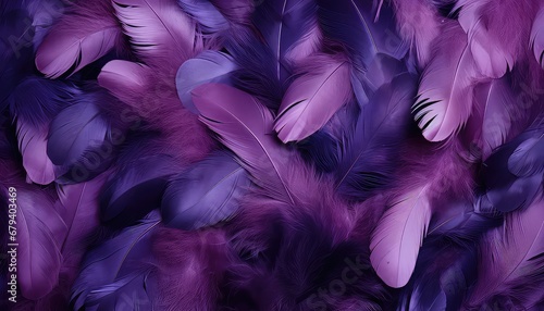 purple feather  texture of different tones or intensities  ,large background 