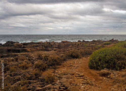 Costa rocciosa di Punta del Cane a Siracusa 44