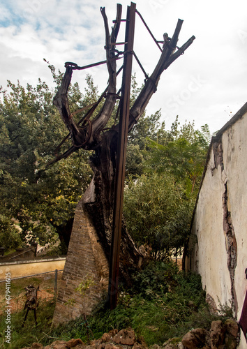 Quescia di Torquato Tasso e Filippo Neri, 520 photo