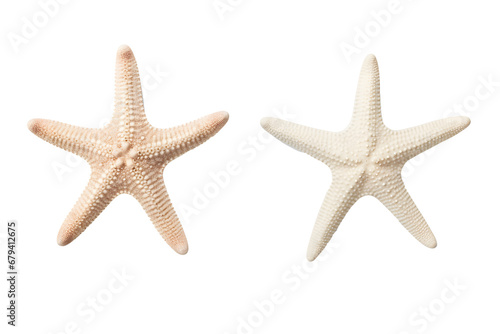 two different types of white starfish isolated over a transparent background, ocean / sea / beach / summer vacation design element, flat lay / top view with subtle shadows