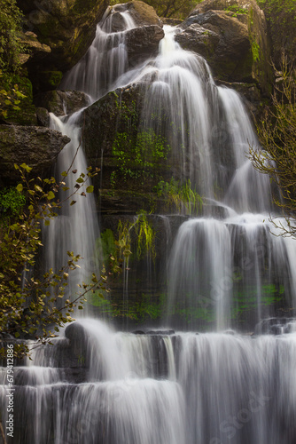 waterfall in the forest