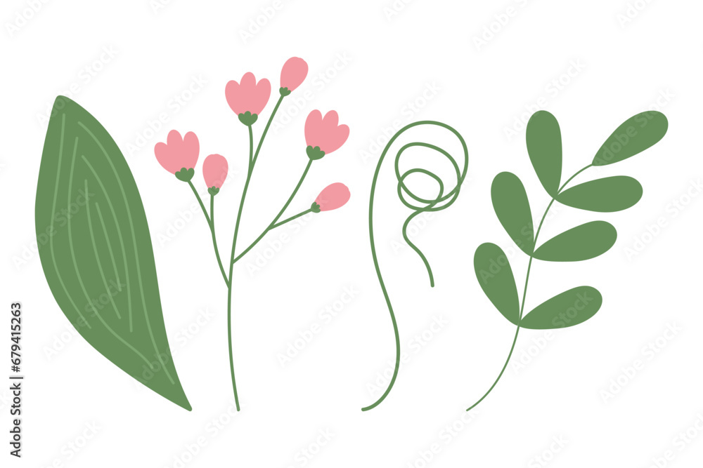 Set of 4 botanical design elements with spathiphyllum leaf, blossom and curled twigs and acacia leaf