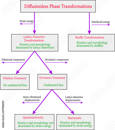 Diagram of Diffusionless transformation classifications.Vector illustration.
