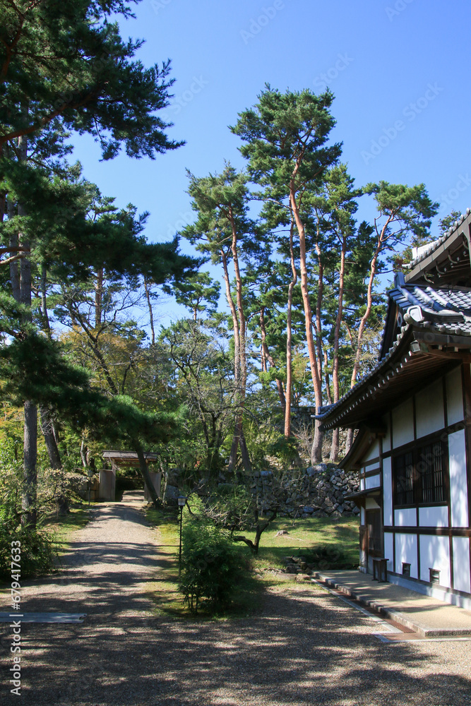 丹波亀山城跡