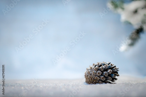 Snowy pine cone on snowy ground on a blue sky and tree background
