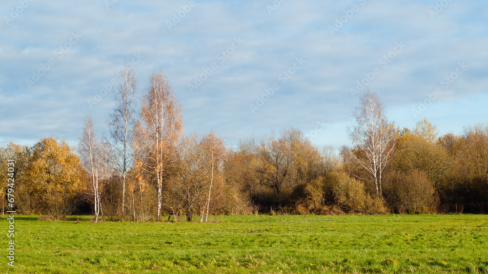 autumn landscape, green grass in the foreground, trees and blue sky with clouds in the background