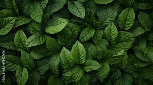 green natural background pattern, wallpaper background, pattern background photo