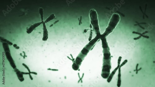 Chromosomes. Loopable. Green. Highly detailed animation of chromosomes floating. DNA. More options in my portfolio.
 photo