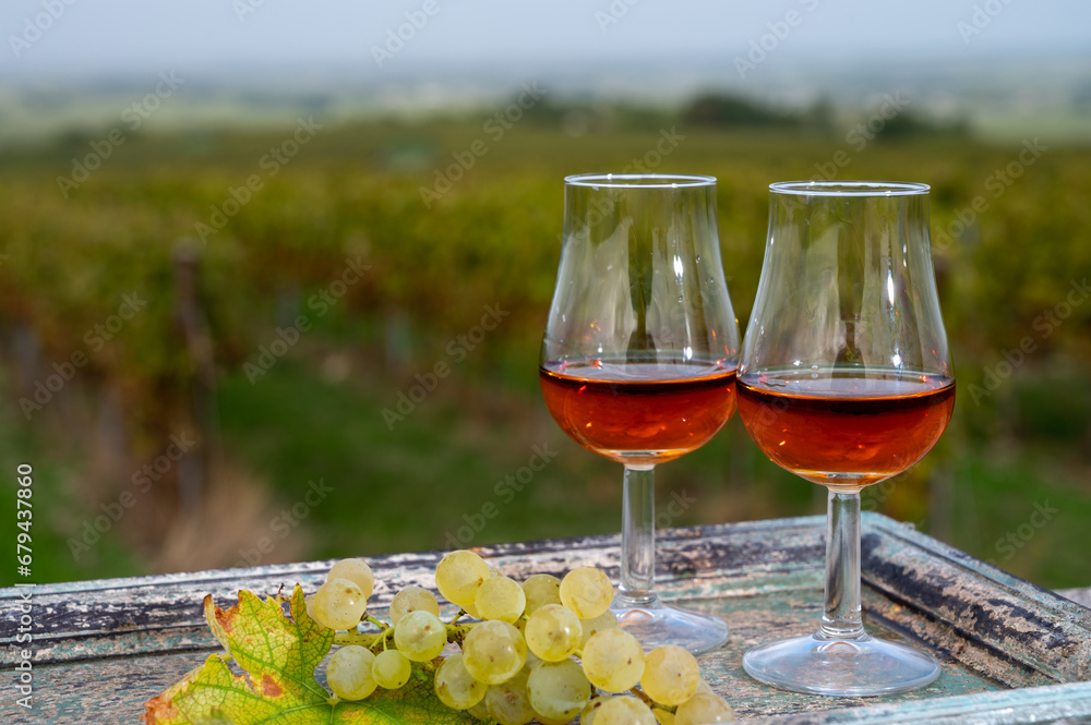 Anzio Rustic Cognac