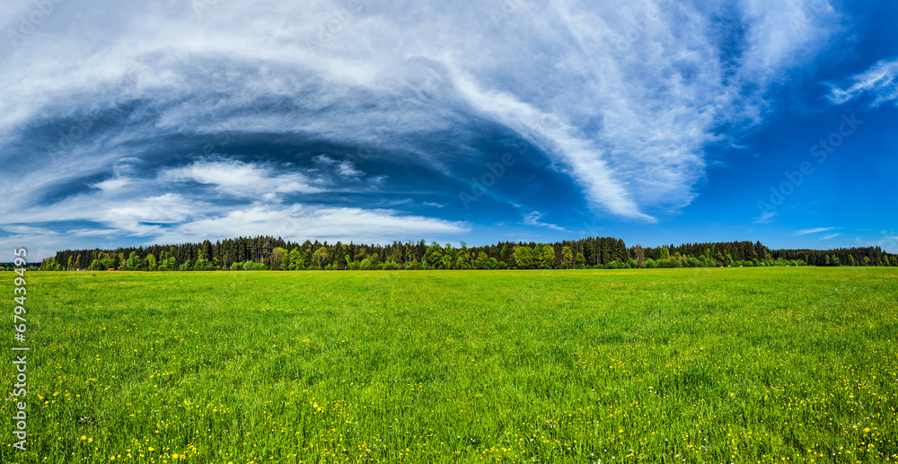 Panorama of Summer meadow. Bavaria, Germany Panorama of Summer meadow. Bavaria, Germany