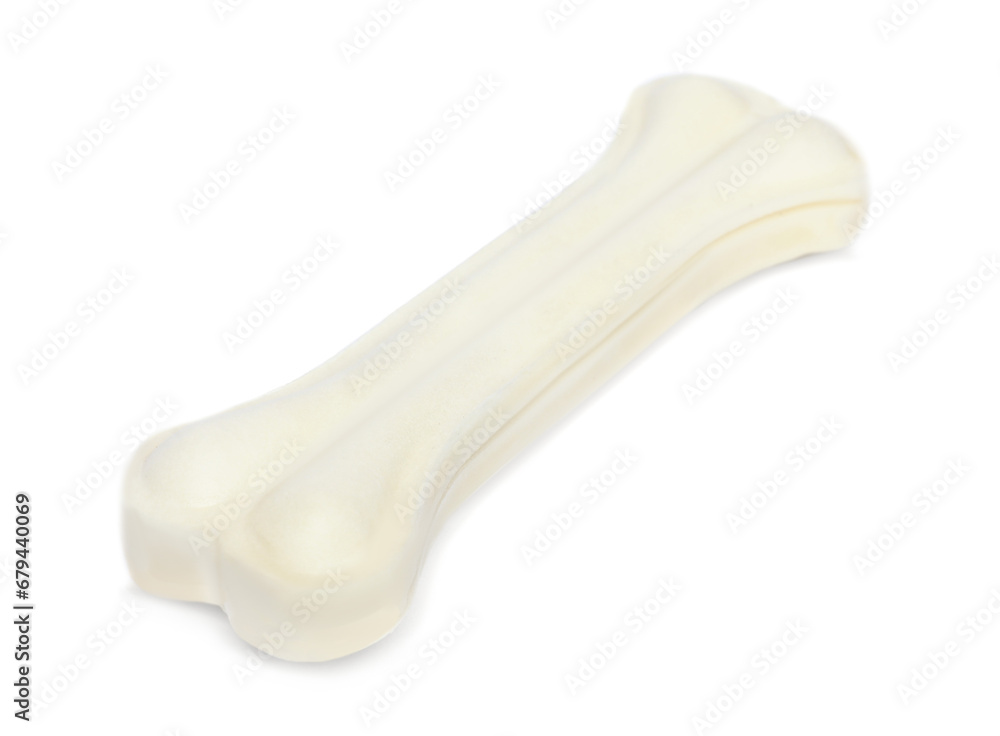 One bone dog treat isolated on white One bone dog treat isolated on white
