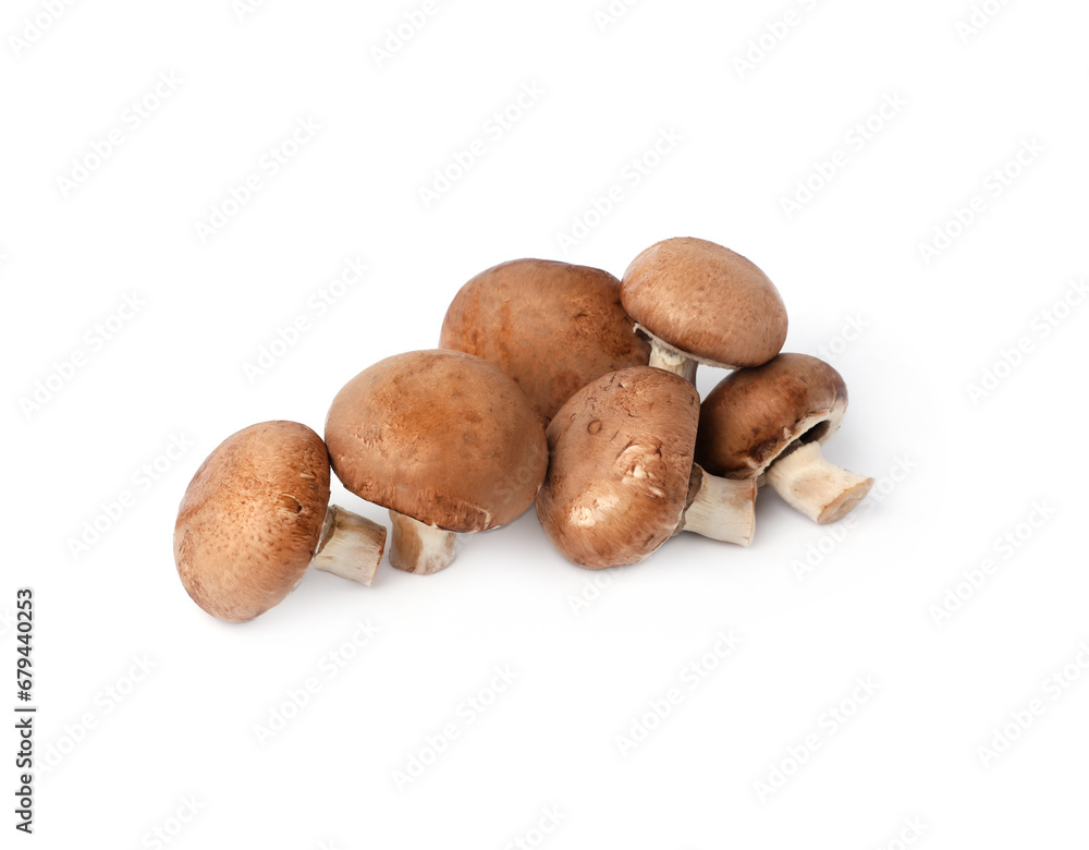 Many fresh champignon mushrooms isolated on white Many fresh champignon mushrooms isolated on white