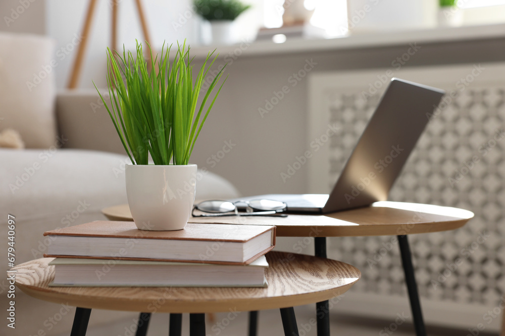 Fototapeta premium Potted artificial plant, laptop and books on wooden nesting tables indoors