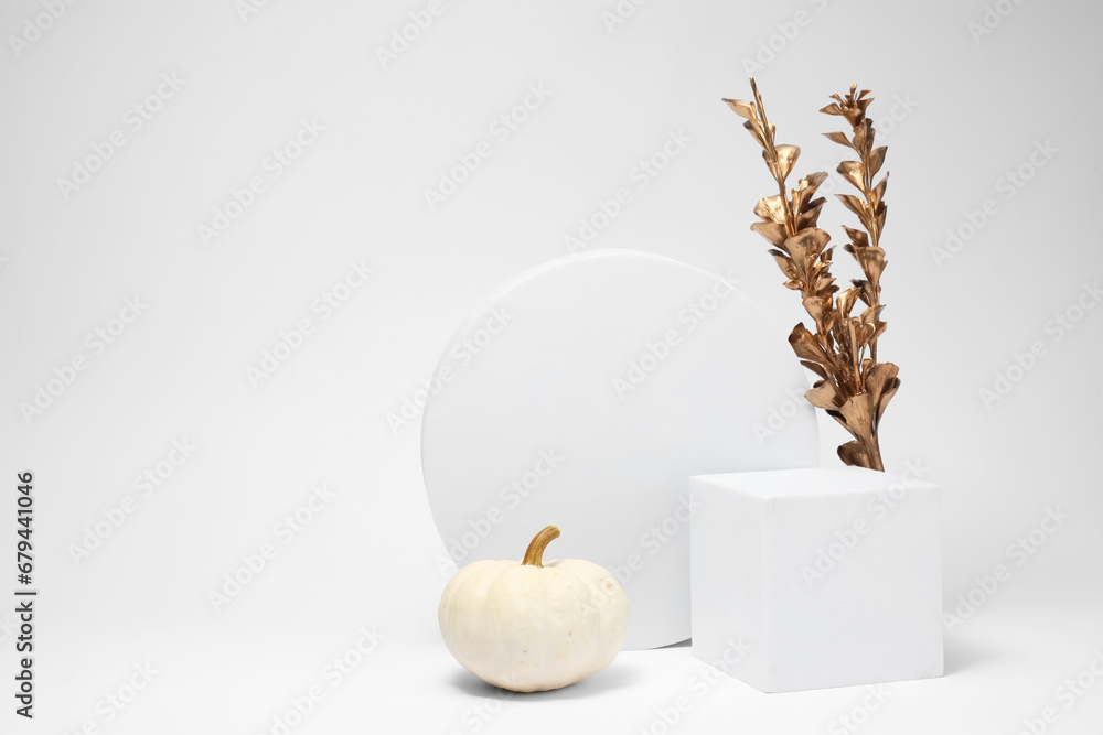 Autumn presentation for product. Geometric figures, pumpkin and golden branch with leaves on white background, space for text