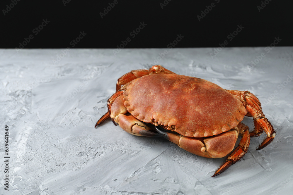 Delicious boiled crab on grey textured table, space for text Delicious boiled crab on grey textured table, space for text