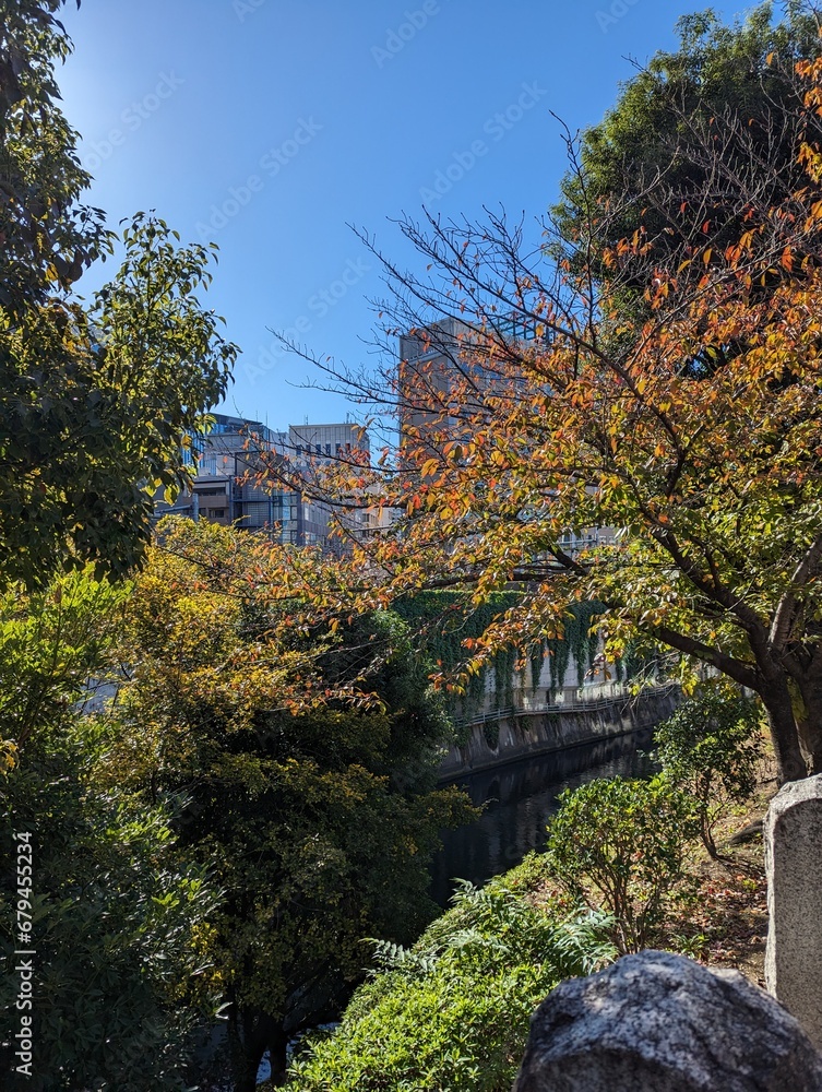 autumn in the park