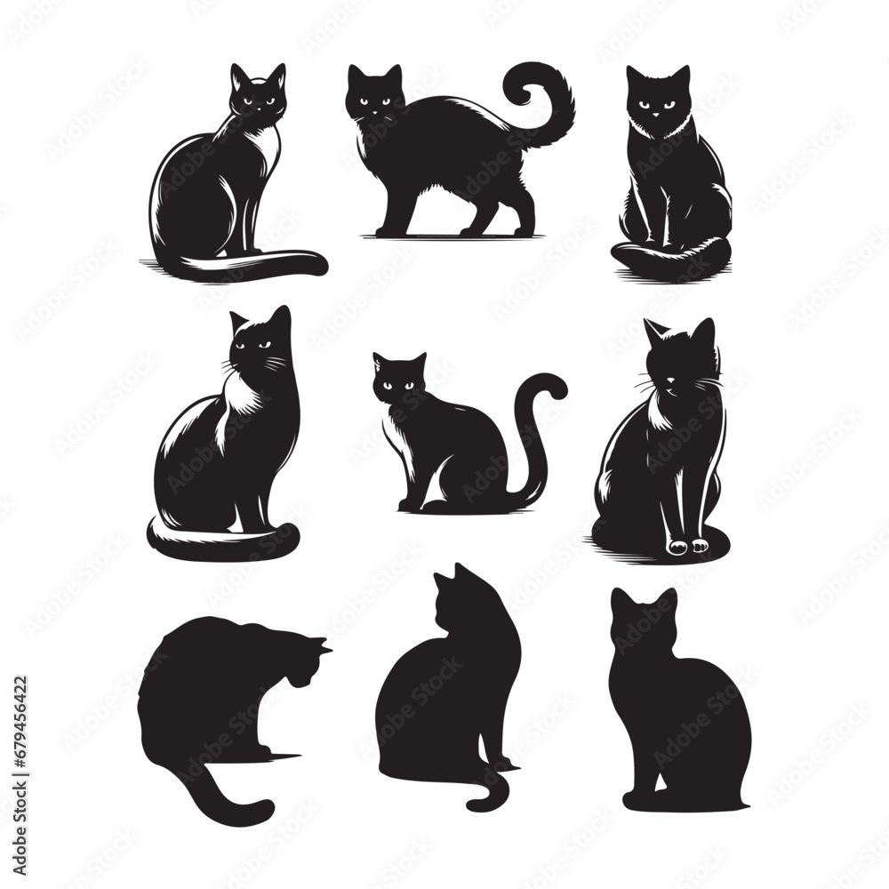 Isolated Cats on the white background. Animals silhouettes. Vector EPS 10.	