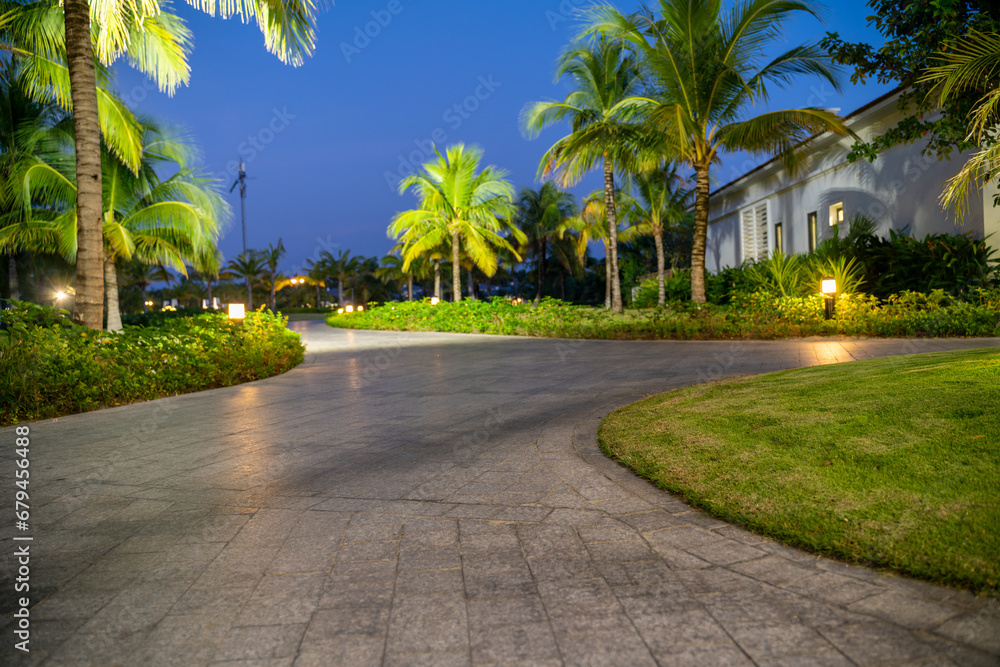 Road in resort park at night with palm trees on background. Soft focus