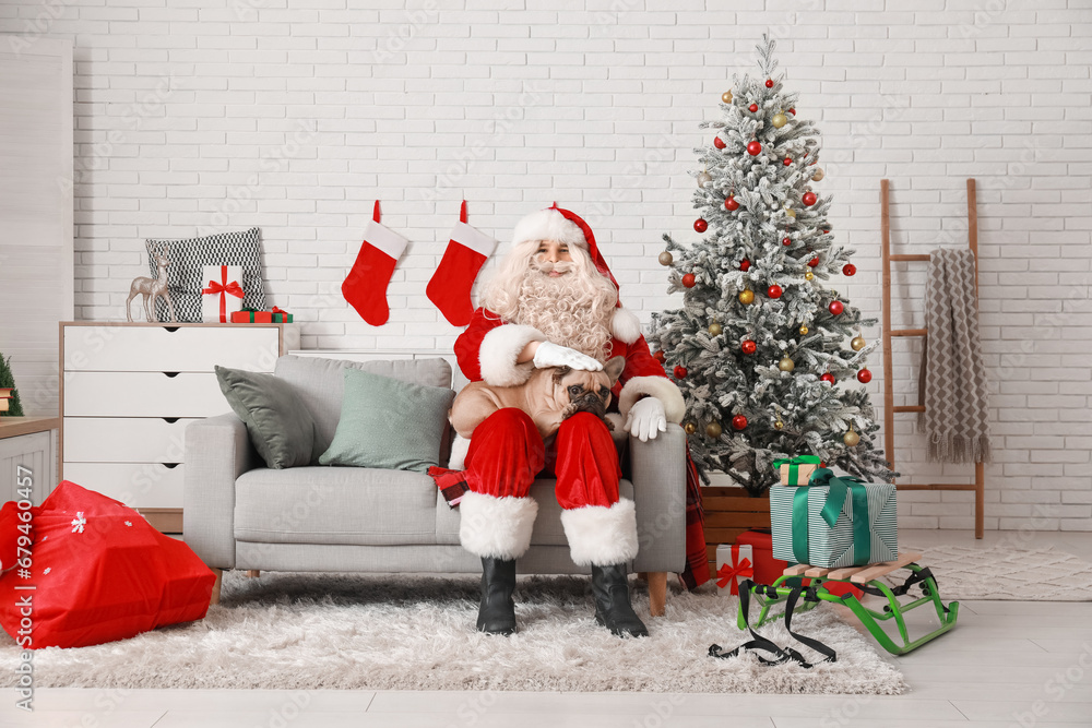 Santa Claus with cute French bulldog in room decorated for Christmas Santa Claus with cute French bulldog in room decorated for Christmas