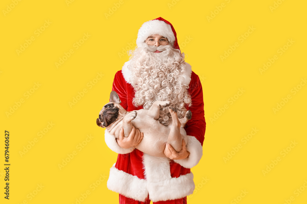Santa Claus with cute French bulldog on yellow background Santa Claus with cute French bulldog on yellow background