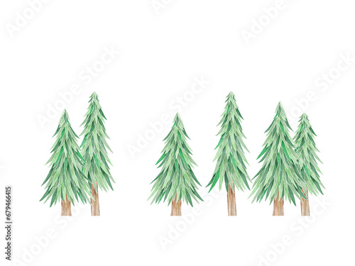 christmas tree branches isolated