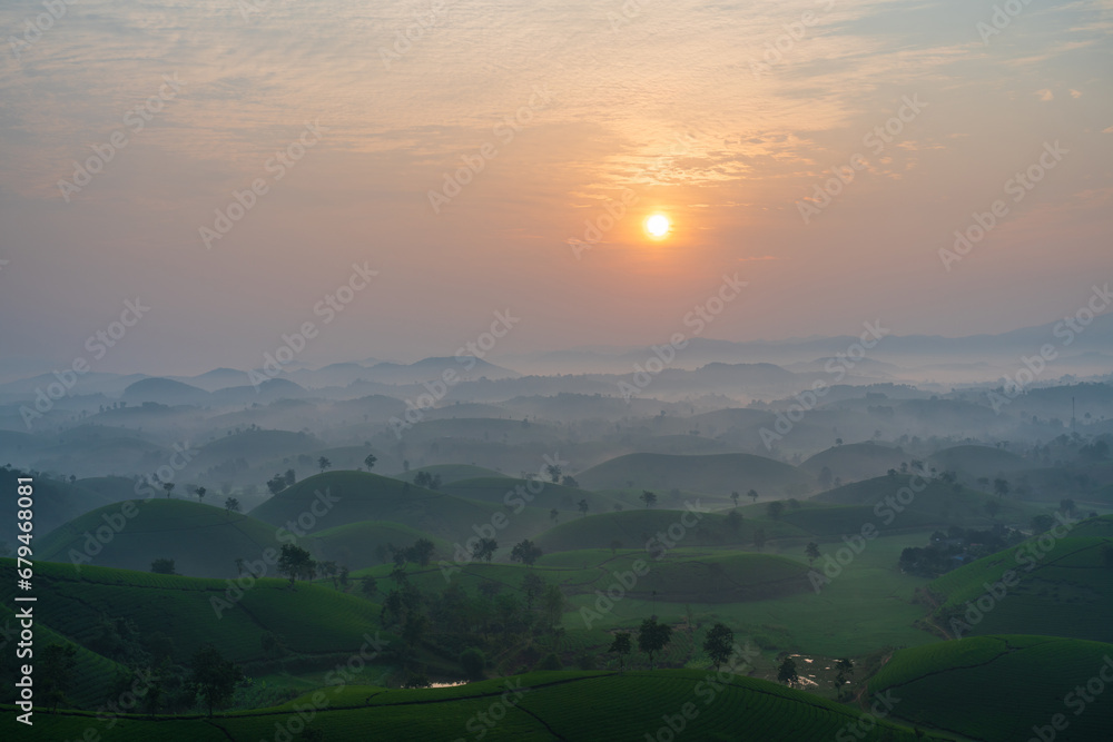 Long Coc tea hills at dawn in Phu Tho, Vietnam Long Coc tea hills at dawn in Phu Tho, Vietnam