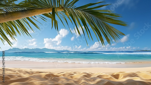 palm tree on the beach HD 8K wallpaper Stock Photographic Image 
