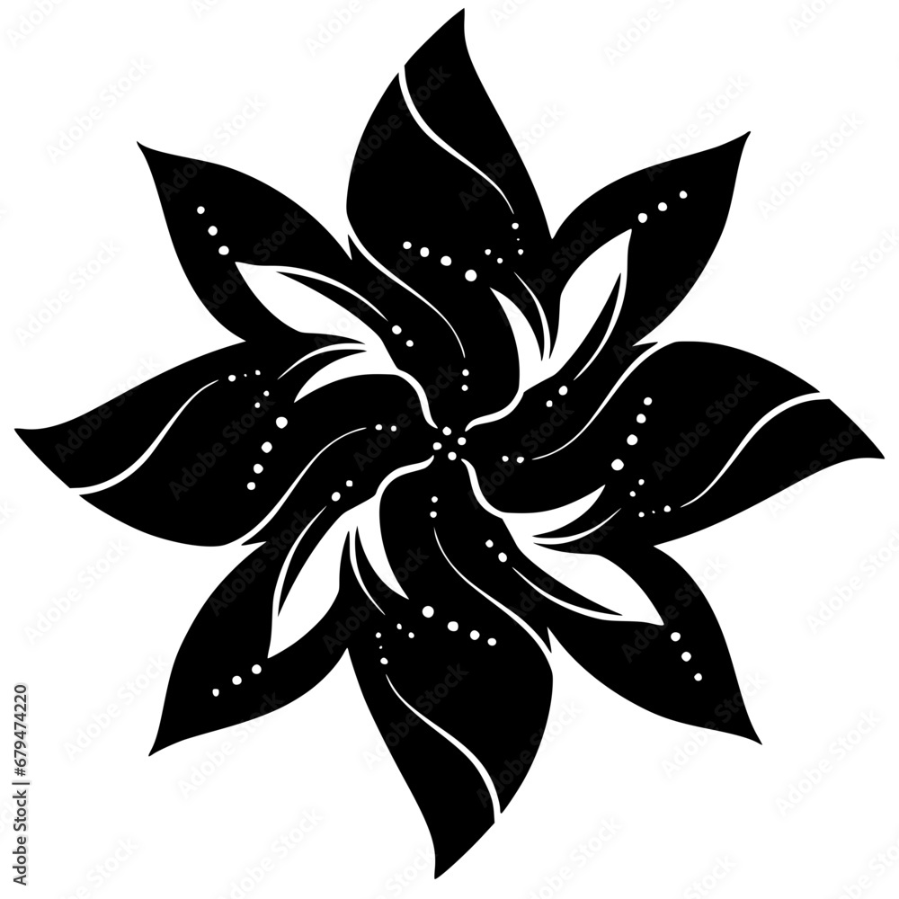 Obraz premium black and white flower isolated, Decoration ornamental Element