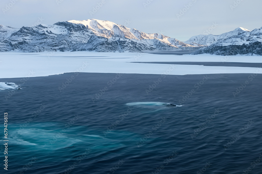Antarctic landscape with icebergs in the ocean and mountains in the background