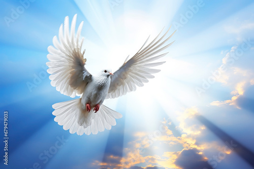 White dove of peace in the rays of the Sun. Generative AI