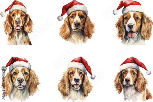 Watercolour dog with christmas decoration festive. © Zz