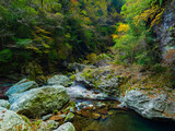 紅葉した秋の川の渓流　高知県　中津渓谷	