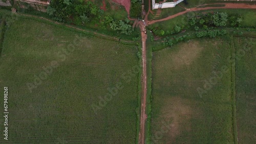 Overhead shot of path between farm land and rice fields of Madagascar, Africa photo