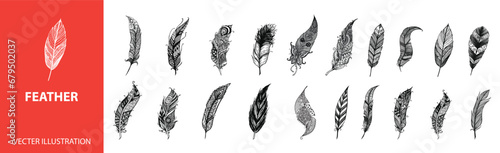 Hand drawn feathers set on white background. feathers collection. feathers vector illustation